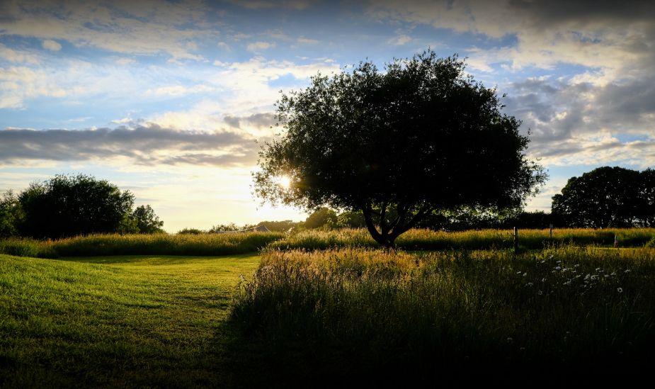 Campsites in Dorset