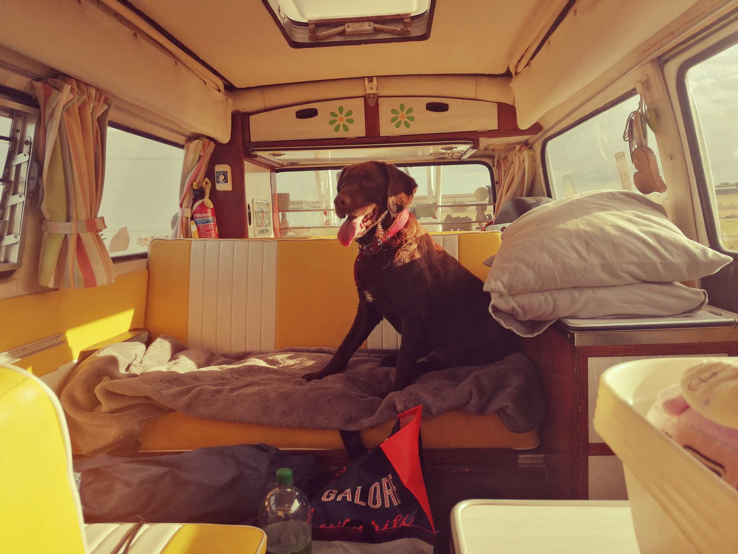 A VW T2 Classic Campervan called Haroldinho-0924 and for hire in Canterbury, Kent