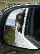 A VW T5 Campervan called Dougal-0720 and for hire in Elgin, Aberdeenshire