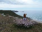 A Other Campervan called Scoobi-1219 and Scoobido on the cliff in Sennen for hire in Rookes Lane, Potterne, Wiltshire