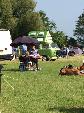 A VW T2 Classic Campervan called DorisBay-0322 and Doris all set up for the weekend. for hire in Peene, Kent
