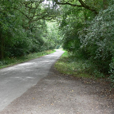 Smithy Lane at Burbage Wood