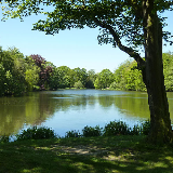 The Lower Lake in the Parkland at Nostell Priory (NT) in Yorkshire.