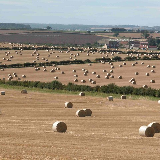 East Lothian in September. A nice crop of bales, looking west towards Northrig Farm, with Haddington 3 km beyond.