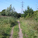 https://upload.wikimedia.org/wikipedia/commons/e/e5/Howardian_Nature_Reserve%2C_Cardiff._-_geograph.org.uk_-_48382.jpgHowardian Nature Reserve, Cardiff. One of the first examples of a statutory nature reserve established on a former domestic refuse site. Established in 1973 and declared a local nature reserve in 1991.