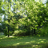Łódź - Park Staromiejski