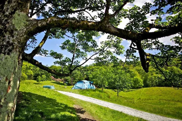 Rydal Hall Campsite Rydal Hall Campsite in Ambleside