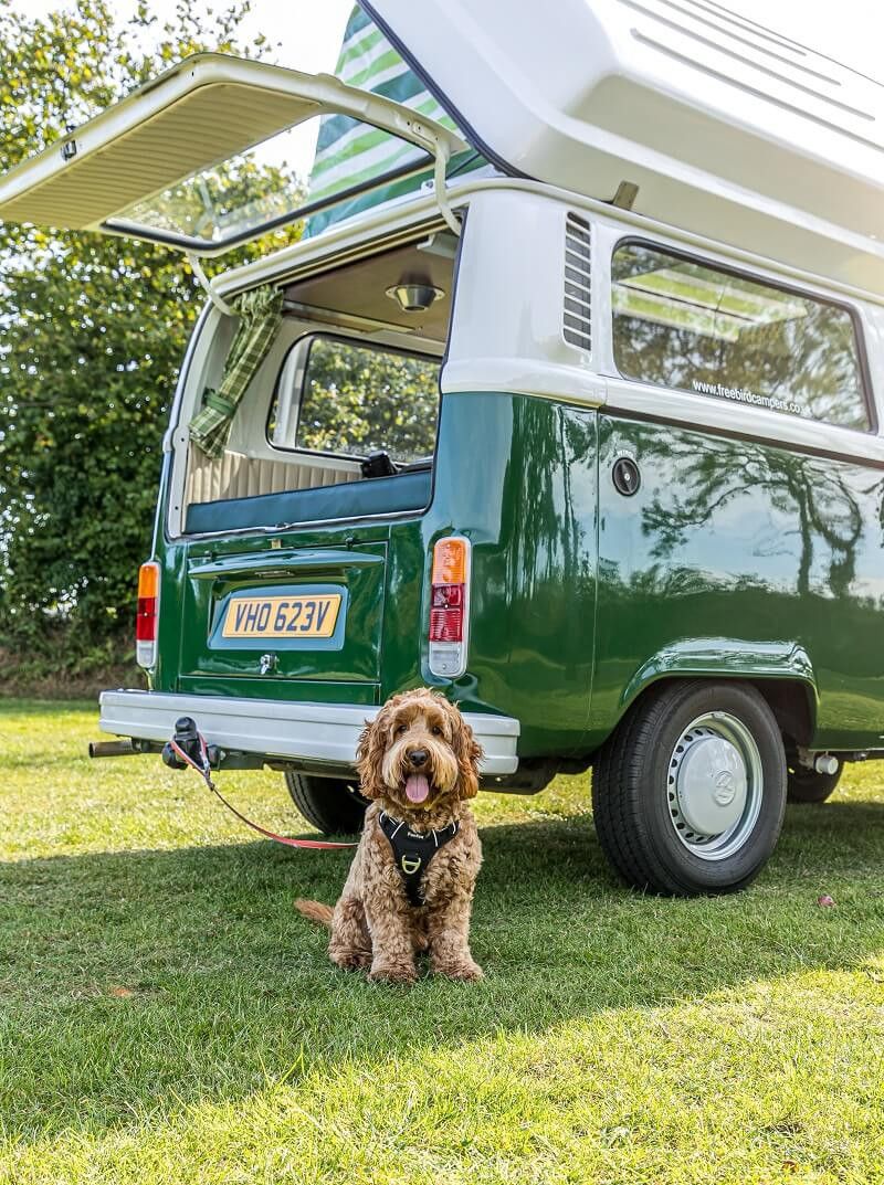 A VW T2 Classic Campervan called Wild-Monty and for hire in Colyford, Devon