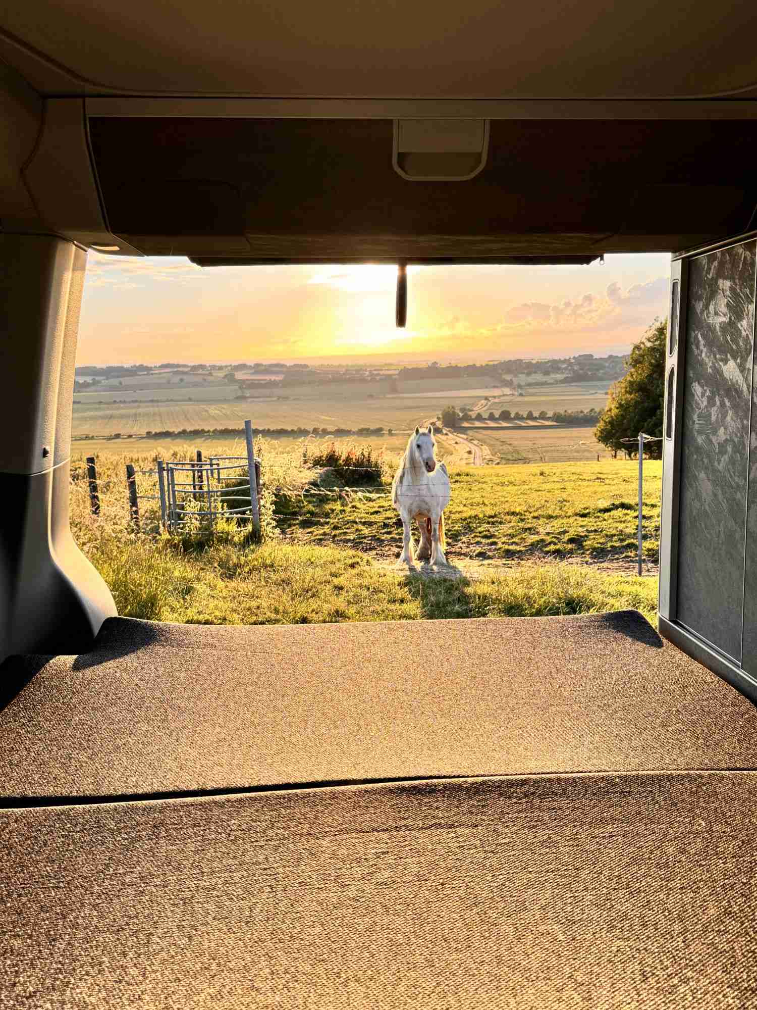 A VW T6 California Campervan called Billy-Ocean and for hire in Swindon , Wiltshire