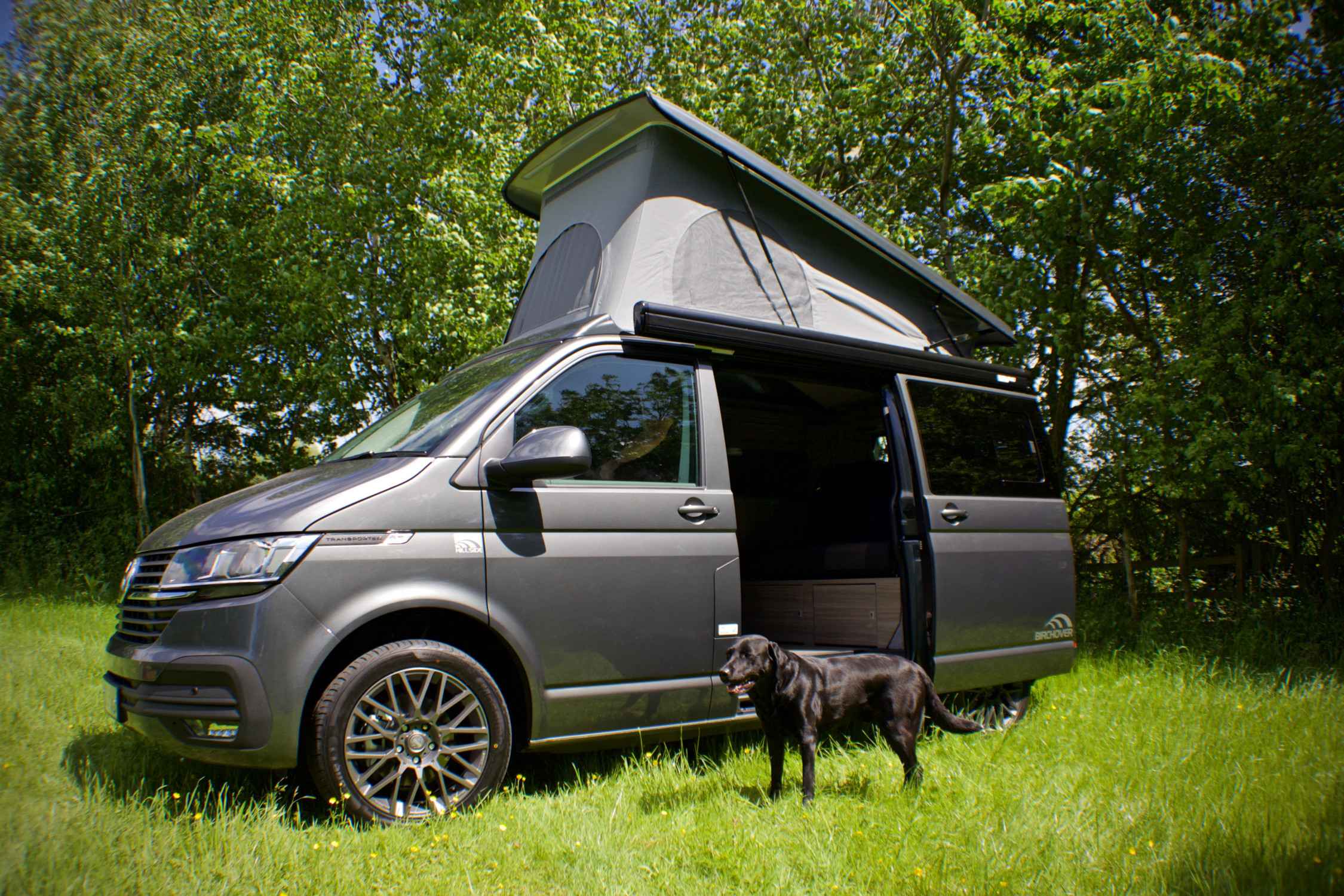 A VW T6 Campervan called Colin and for hire 