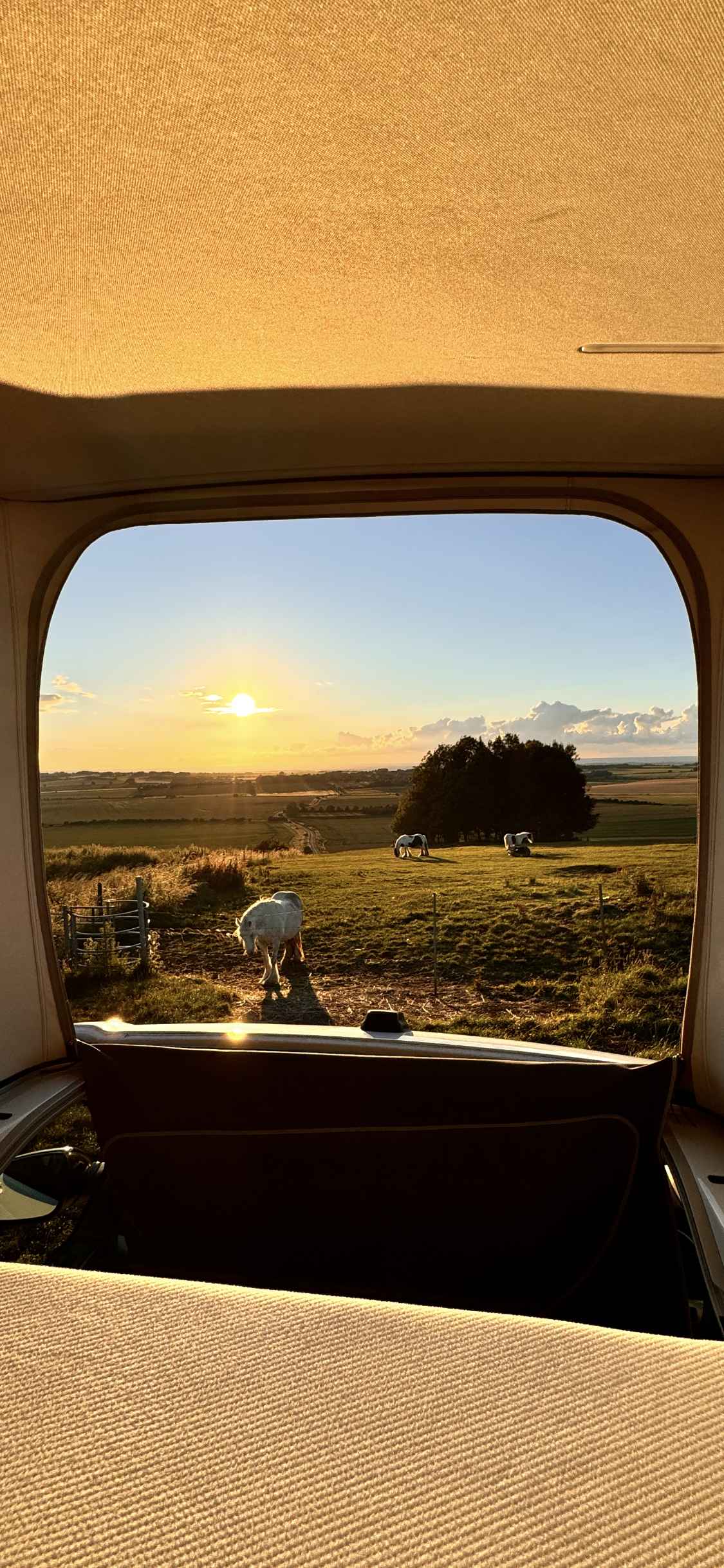 A VW T6 California Campervan called Billy-Ocean and for hire in Swindon , Wiltshire