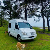 A VW T4 Campervan called Woody-Georgia and for hire in Batumi, Europe