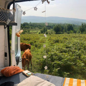 A Ford Campervan called Scandi and for hire in Kutaisi , Georgia