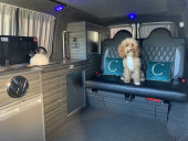 A VW T5 Campervan called Terri and for hire in Carnoustie, Dundee and Angus