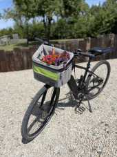 A Fiat Campervan called Berti and for hire in Wedmore , Somerset
